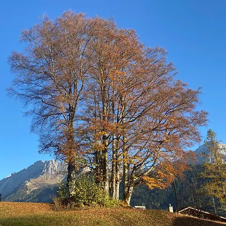 Chalet Villars-gryon 8pax Cosy