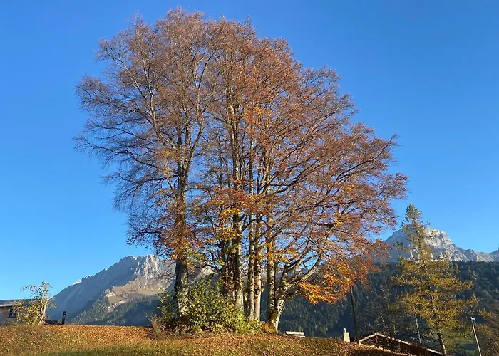 Villars-gryon 8pax Cosy